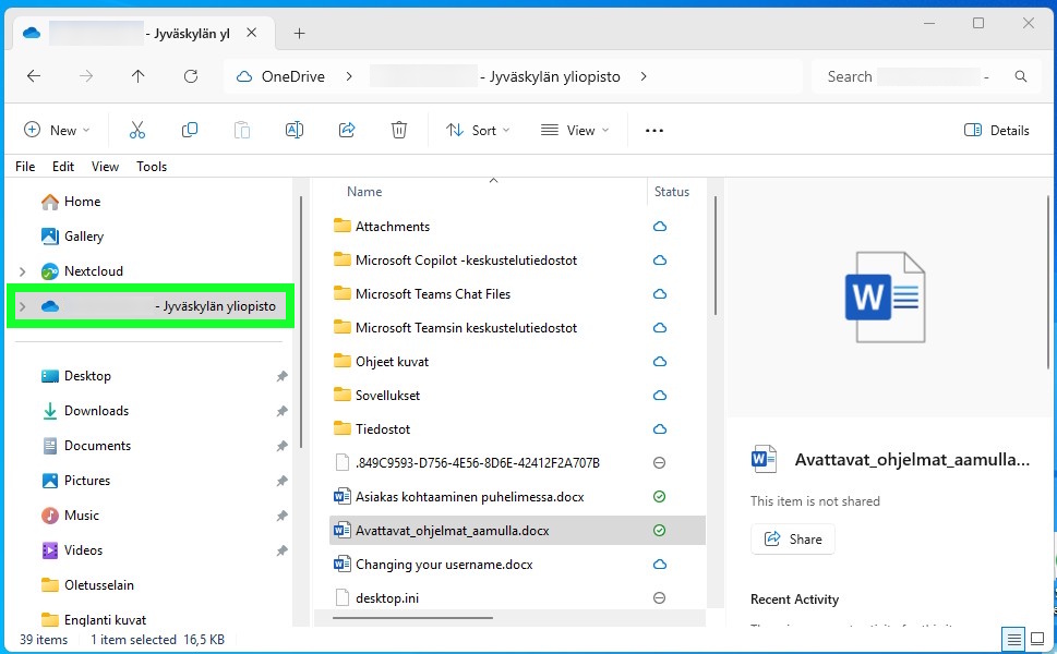 OneDrive folder