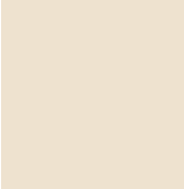 JYU brand color beige